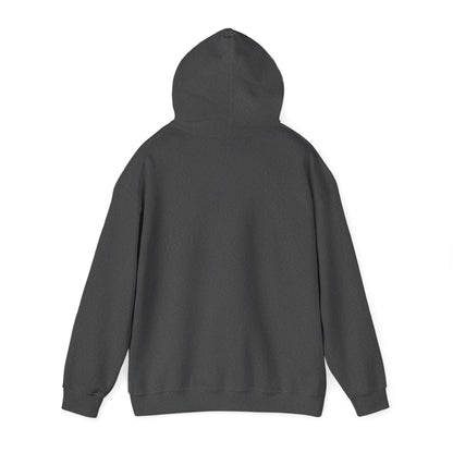 Camp Starlight Hoodie – Vintage Camp Logo Sweatshirt (Est. 1947)