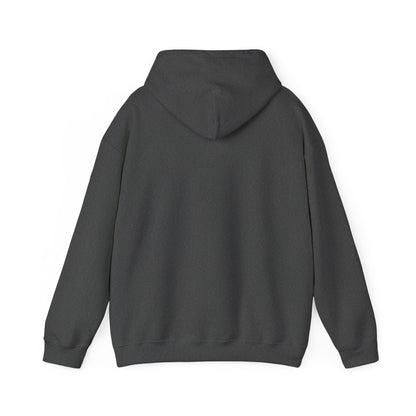 Camp Starlight Hoodie – Vintage Camp Logo Sweatshirt (Est. 1947)